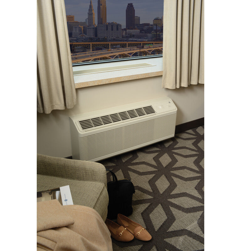 GE Zoneline Heat Pump Unit, 230/208 Volt - Gray (AZ65H09DAB)