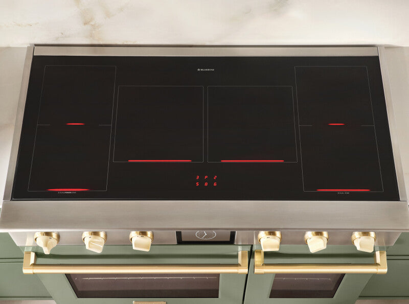 BLUESTAR 48″ Platinum Induction - Stainless Steel (BSPIR486Z)