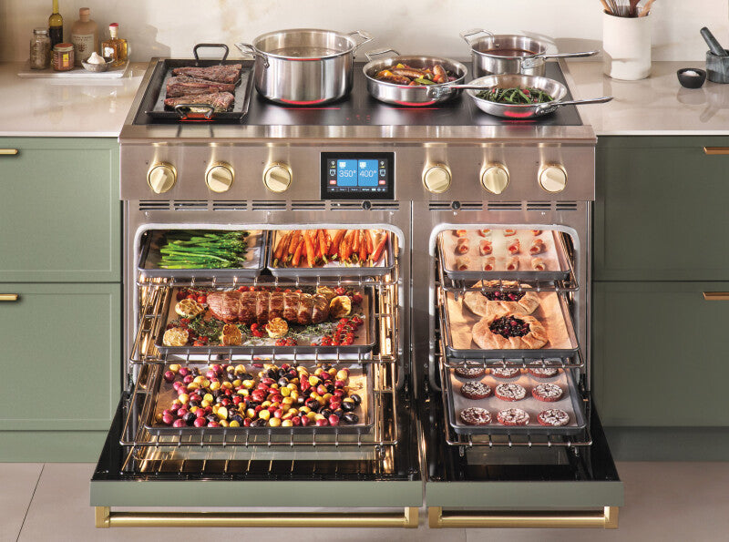 BLUESTAR 48″ Platinum Induction - Stainless Steel (BSPIR486Z)