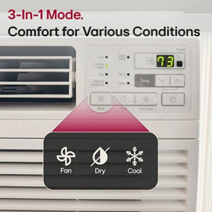LG 10,000 BTU Smart Wi-Fi Enabled Window Air Conditioner - (LW1017ERSM1)