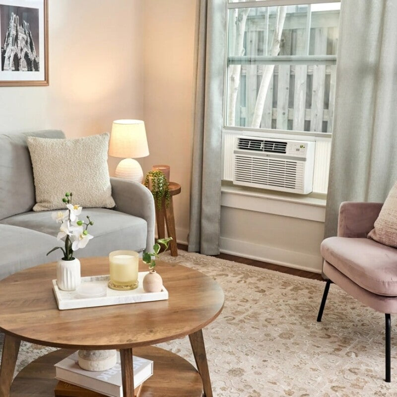 LG 24,000/ 24,500 BTU Window Air Conditioner - White (LW2524RD)