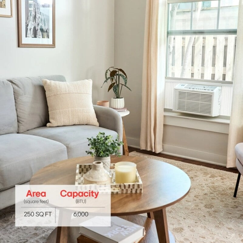 LG 6,000 BTU Window Air Conditioner - White (LW6017R)