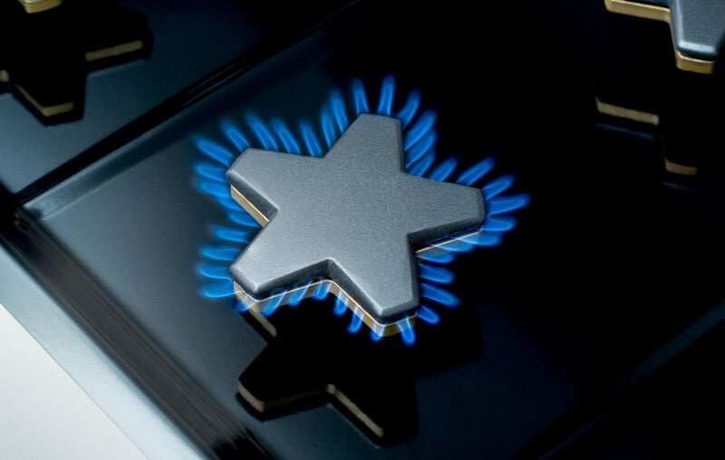 Thermador Dual Fuel Professional Range - Stainless Steel (PRD606WCSG)