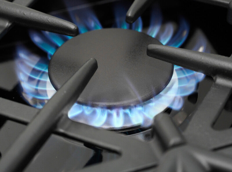 BlueStar 24″ Culinary Series (RCS) Sealed Burner Range - Stainless Steel (RCS24SBV2)