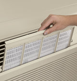 GE Zoneline Cooling and Electric Heat Unit, 230/208 Volt -  (AZ45E15DAB)