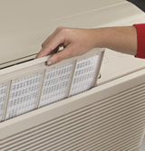 GE Zoneline Heat Pump Unit, 230/208 Volt - Gray (AZ65H15DAB)