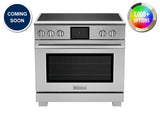 BLUESTAR  36″ Platinum Induction - Stainless Steel (BSPIR365Z)