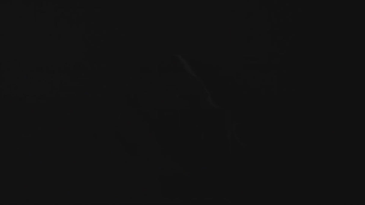 FORNO  Pozzo 24-Inch Built-In Tall Tub Top Control Dishwasher, , 49 dBA, ENERGY STAR Certified - Stainless (FDWBI806724S)