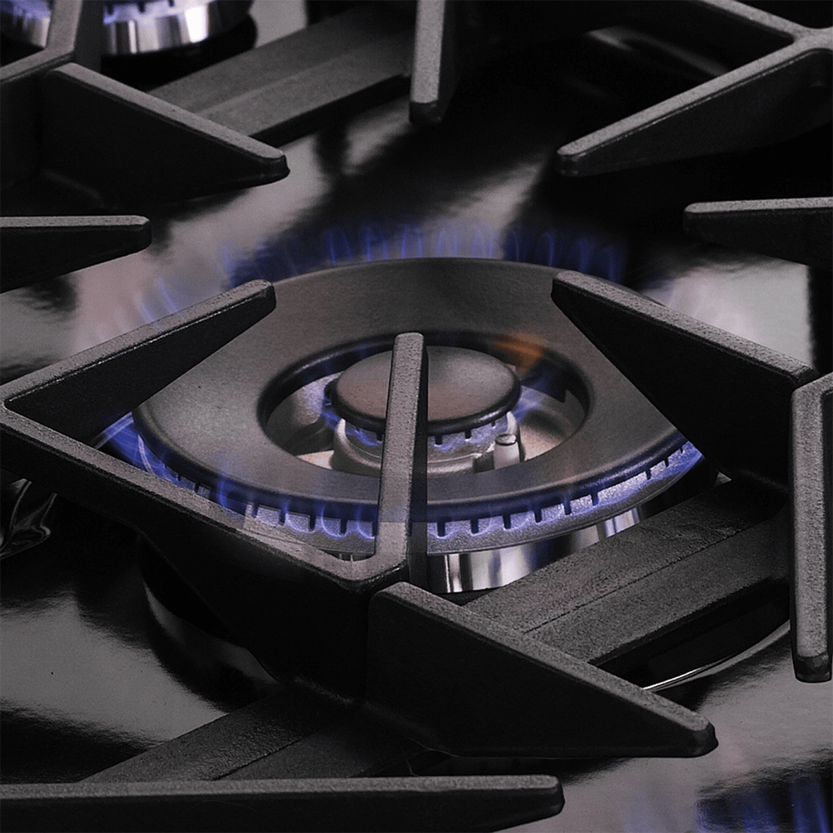 Forno Massimo 48″ Freestanding Gas Range - Stainless (FFSGS623948)