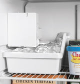 GE 28-Inch 16.6 Cu. Ft. Top-Freezer Refrigerator - Stainless Steel (GIE17GSNRSS)