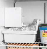 GE 17.5 Cu. Ft. Top-Freezer Refrigerator - White (GIE18DTNRWW)