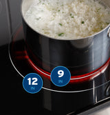 GE  30" Free-Standing Electric Convection Range with No Preheat Air Fry and EasyWash Oven Tray - Stainless Steel (GRF600AVSS)