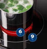 GE 30" Slide-In Electric Range - Stainless Steel (GRS500PVSS)