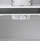 GE 21.9 Cu. Ft. Top-Freezer Refrigerator - White (GTS22KGNRWW)