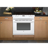 GE  30" Drop-In Electric Range - White on White (JD630DTWW)