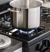 GE 30" Free-Standing Gas Range - Black (JGBS60DEKBB)