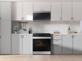 SAMSUNG  Fingerprint Resistant | Wi-Fi | 6.3 cu.ft. - Stainless Steel (NSE6DG8100SRAA)
