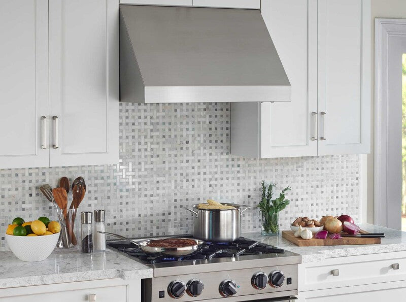 BLUESTAR  42″ Pro-Line Hood - Stainless Steel (PL042ML)