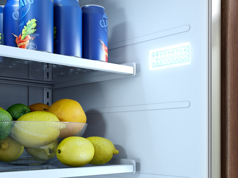 Zephyr  24" Outdoor Refrigerator - Stainless Steel (PRR24C01ASOD)