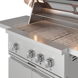 THOR KITCHEN  32 Inch Freestanding/built-in Gas Grill Gordon Ramsay Collection - Stainless Steel (RBG3201)