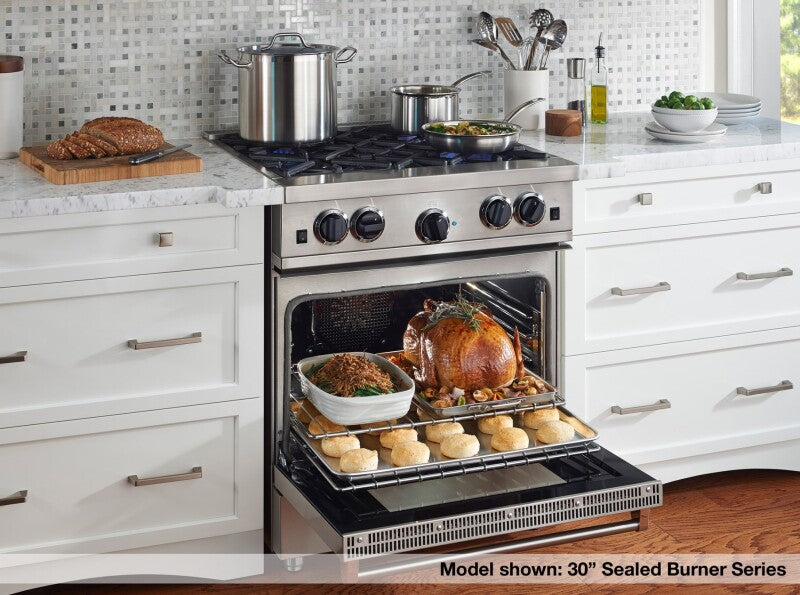 BlueStar 24″ Culinary Series (RCS) Sealed Burner Range - Stainless Steel (RCS24SBV2)