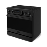 Thor Kitchen  36 Inch Professional Electric Range With Tilt Panel Touch Control In Black Gordon Ramsay Series - Black (RSE36B)