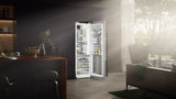 LIEBHERR  Freestanding refrigerator with BioFresh Professional, Right Hinged - Stainless (SRB5290)