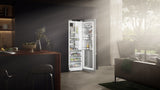 Liebherr  Freestanding refrigerator with BioFresh Professional, Right Hinged - Stainless (SRB5290)
