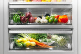 Thermador Built-in Refrigerator Column Built-in Refrigerator Column - Panel Ready (T23IR905SP)