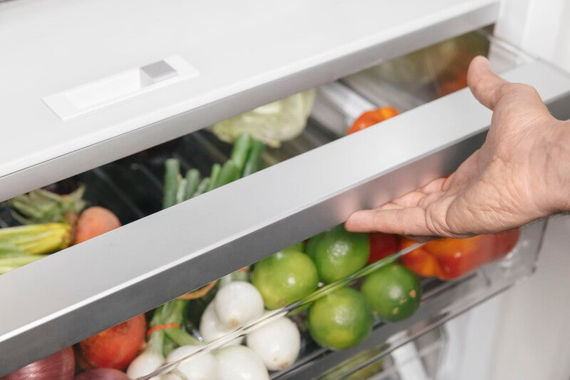 Thermador Built-in Refrigerator Column 24" Built-in Refrigerator Column 24'' - Panel Ready (T24IR905SP)