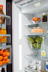 Thermador 36-Inch Built-in Stainless Steel Professional French Door Bottom Freezer - Stainless Steel (T36BT920NS)