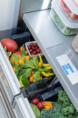 THERMADOR  Freedom® Built-in Bottom Freezer 36'' Panel Ready - Panel Ready (T36IB100SP)