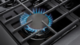 Thor Kitchen  36 Inch Liquid Propane Range, 6 Burner Convection Oven - Stainless Steel (LRG3601ULP)