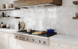 Thermador  Professional Custom Insert Hood 48'' - Stainless Steel (VCIN48GWS)