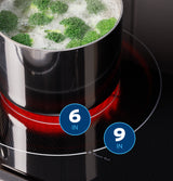 GE APPLIANCES GE(R) 30" Free-Standing Electric Convection Range with No Preheat Air Fry and EasyWash(TM) Oven Tray -  (GRF600AVSS)
